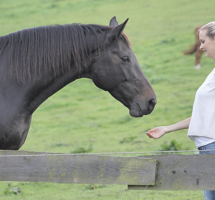 Alles kommt zur richtigen Zeit - selbst eine Erkältung, die mir während des Achtsamkeitskurses die Ruhe verordnet, die ich gerade brauche. ❤