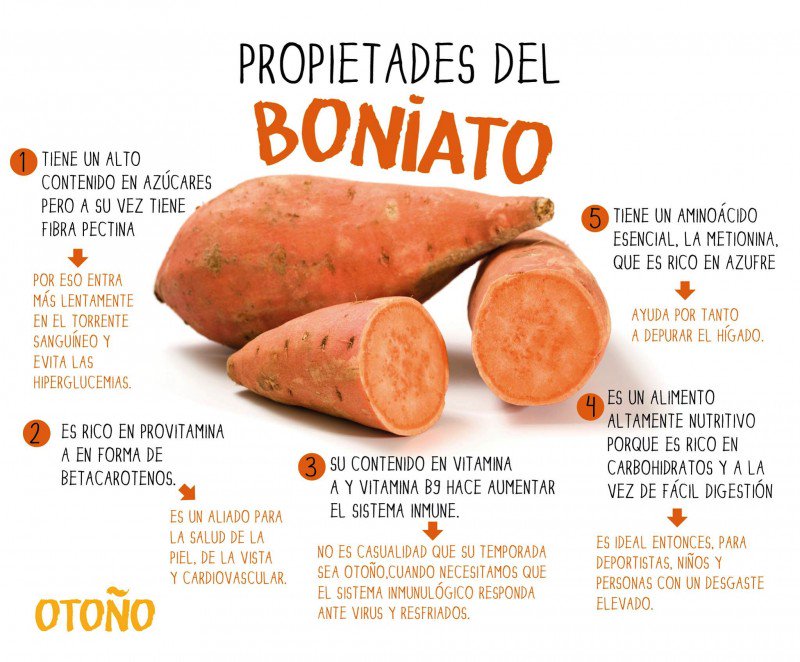 SeDondeComer1's tweet photo. .
Muy importante en tu vida
que alimentos tomar
como ... cuando ...  y  ... donde https://t.co/V1SQTd4e6N