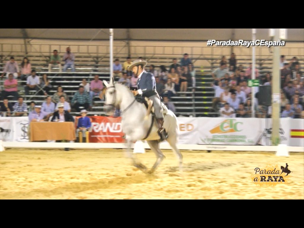 LaJaquima_'s tweet photo. Desde Valdemoro viendo #CampeonatoDeEspana #domavaquera en #ParadaaRayaCEspaña gracias por acercarnos nuestra afición a casa https://t.co/EKtj9I3odf