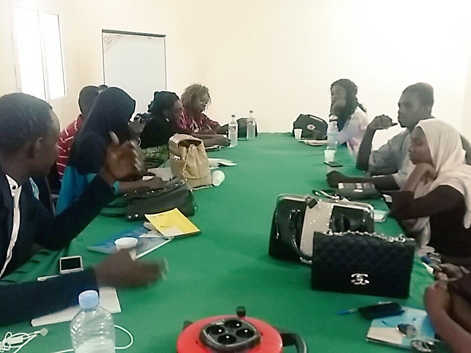 Réunion des #JASRPFMauritanie avec Emilienne de intrahealth#