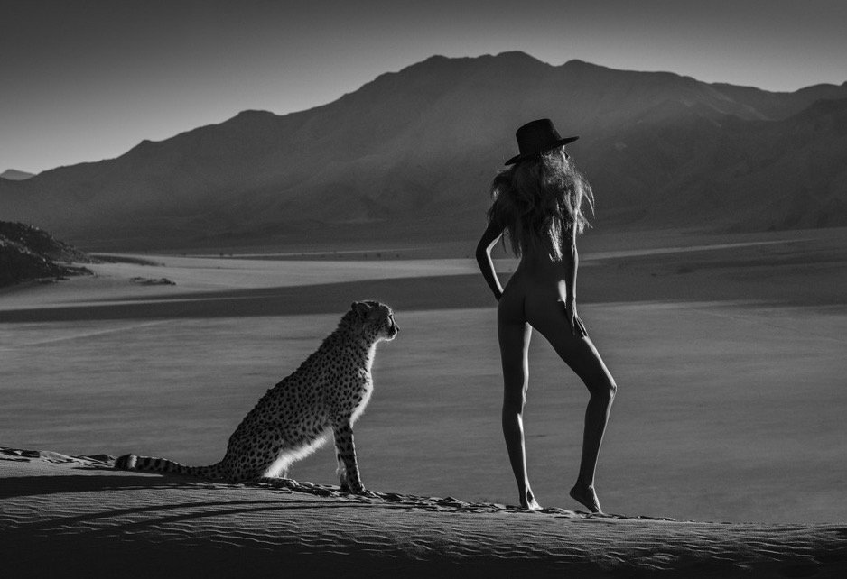 RotellaGallery's tweet photo. 'African Tails' by #DavidYarrow
@David_Yarrow @NikonEurope #RotellaGallery #Nikon #Nikonambassador #cheetah #SoHogallery #Namibia #model https://t.co/K5Qy6kCFZw