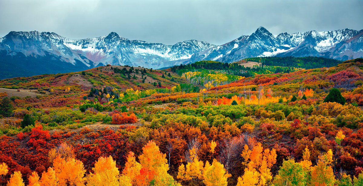 Alpine Gardens (@alpinegardens) on Twitter photo <a href="/AlpineGardens/">Alpine Gardens</a> and <a href="/FCreekNursery/">Fossil Creek Nursery</a> wish you a beautiful autumn weekend. We'll be out enjoying the colors, see you there! <a href="/AlpineGardens/">Alpine Gardens</a> and <a href="/FCreekNursery/">Fossil Creek Nursery</a> wish you a beautiful autumn weekend. We'll be out enjoying the colors, see you there!