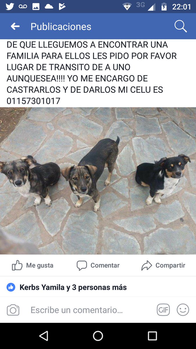 refugioenalerta tweet picture