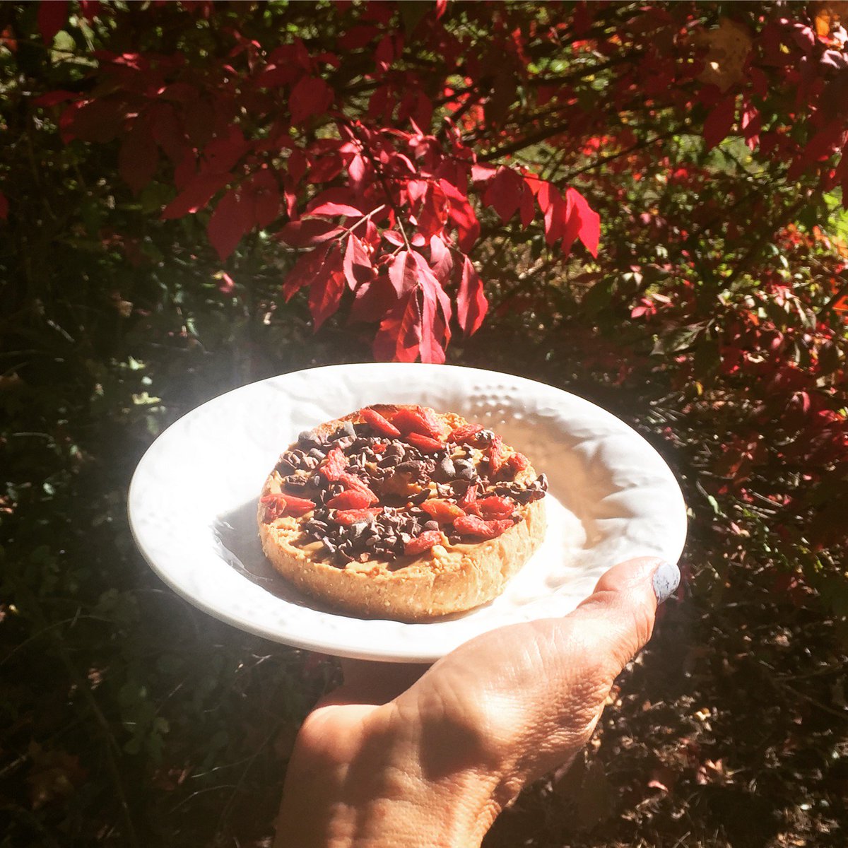 ExistUp27's tweet photo. Deland Millet bagel with cashew butter, sprinkled with goji berries, and cacao nibs.

#existup #foodiefriday #cacao #foodporn https://t.co/hsy66aqJAZ