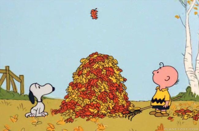IMPACT56278's tweet photo. Fall is here and leaves are piling up! Perfect opportunity to help out our neighbors clean up their yards! Join us Sunday at 3 to help! https://t.co/hVDzatFNuM