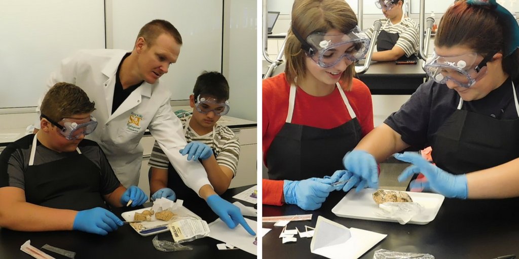RSWolves's tweet photo. The @ReedsSpringMS Medical Detectives class dug into a mystery recently... the brain! #greatplacetolearn
@PLTWorg
https://t.co/lxE8fzNGjb https://t.co/ZzcAN3weG7