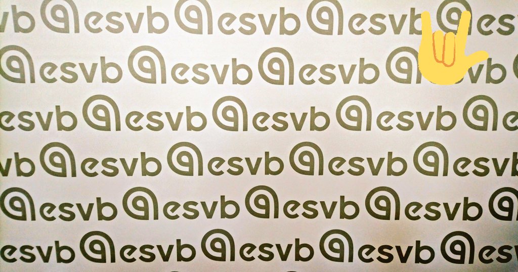 vascularis's tweet photo. @ESVB_Strasbourg Obviously, you can't have too much of #esvb2017 https://t.co/epuzyyaR2P