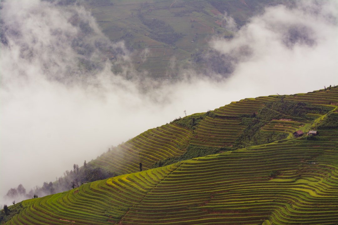 sunideamusic's tweet photo. Photo By Văn Ngọc Tăng | Unsplash 
 #agriculture #farming https://t.co/I52GxSbGrA