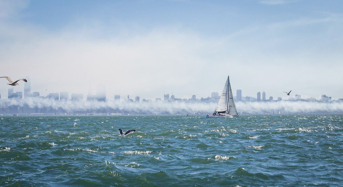 JennVirskus's tweet photo. One of my personal favs from shooting Express 27 Nationals #sailingfirst #sanfrancisco https://t.co/69ZiZbFZ5e