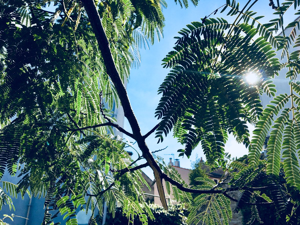 Enel_ya's tweet photo. #trentemoult #reze #nantes #peaceful #familytime https://t.co/OrPgNDdNXz