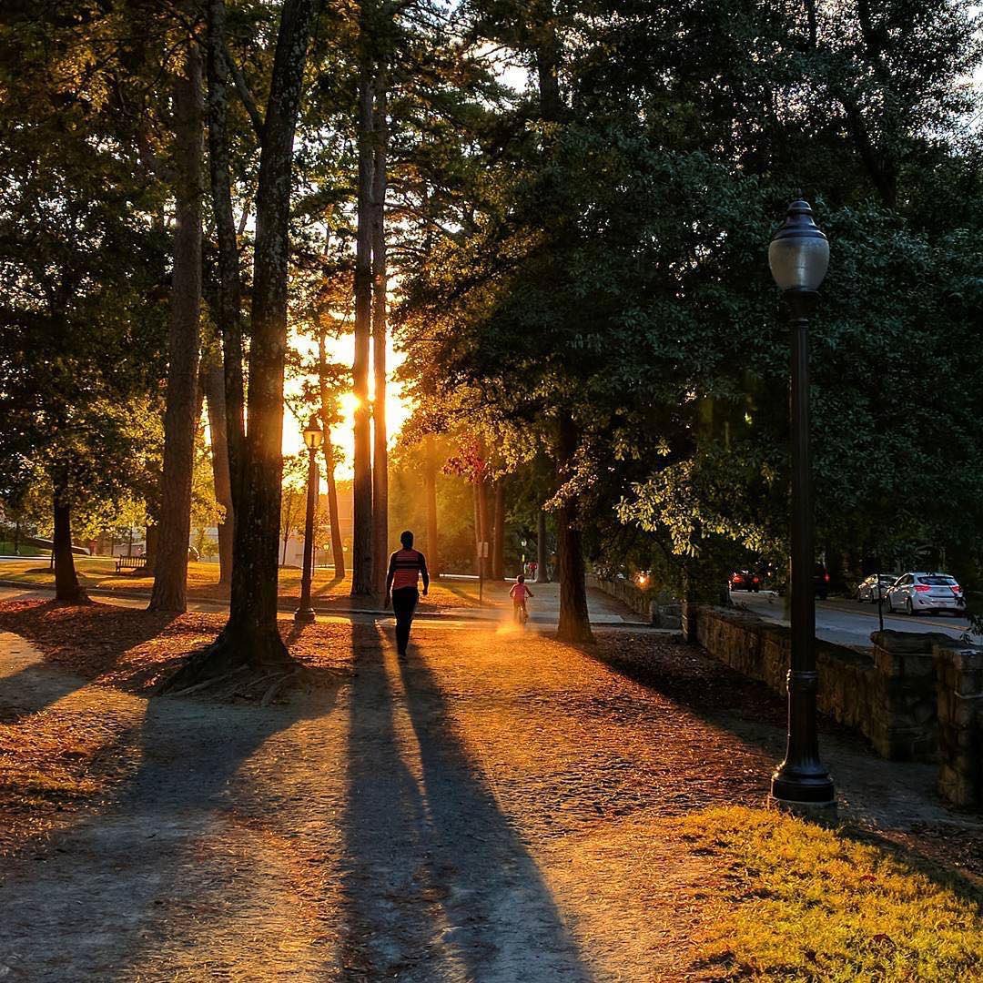 DurhamNC's tweet photo. Here’s to days that look and feel like this 🍂 #HeresToFall #DukeFall 📸 by Jennifer Prather https://t.co/l9Q4zBsfdn