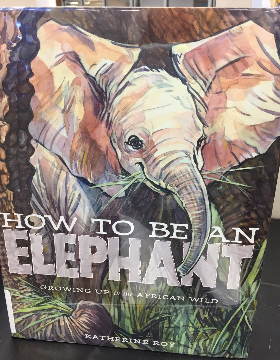 kssuzanne's tweet photo. Books of the week!  Awesome titles! https://t.co/v7A3YNgPXr