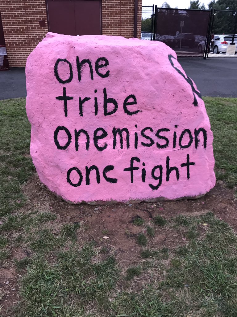 BroadRunSports's tweet photo. Pink Game v. Parkdale. Spartans supporting #LBHN https://t.co/xkvqE6qVJB