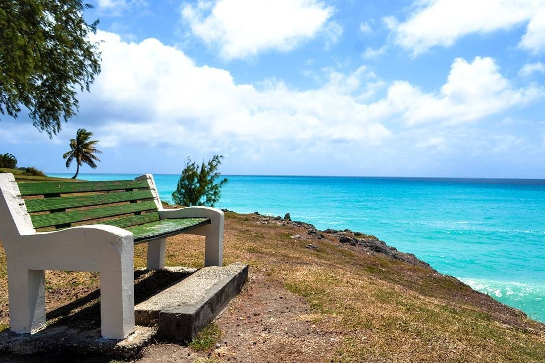 VisiteBarbados's tweet photo. Sentar e apenas relaxar nesse cenário espetacular em Oistins 👌
#IssoéBarbados 🇧🇧️
#repost @visitbarbados https://t.co/X9Y8u2LKMU