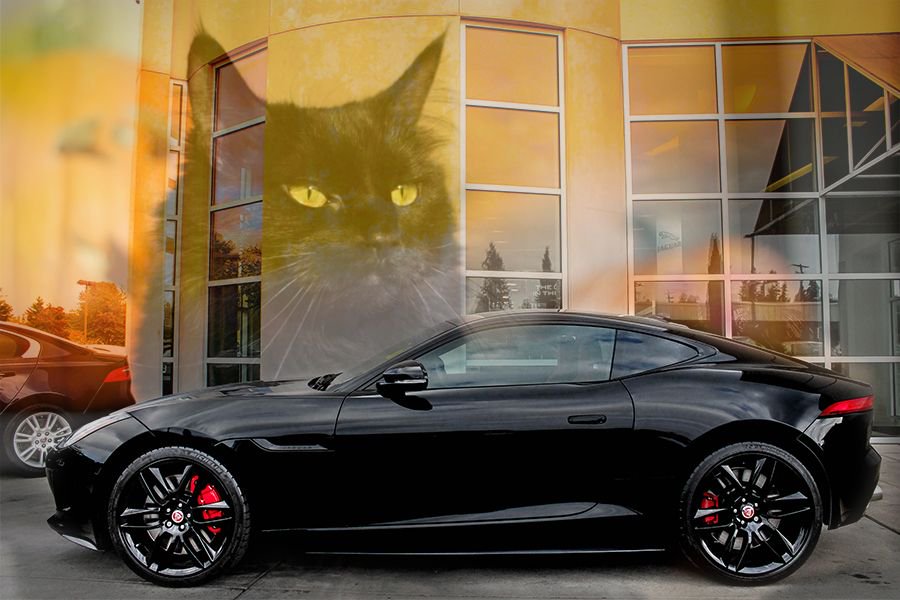 autocenter_nw's tweet photo. No open ladders or broken mirrors here...

#FridayThe13th
#FridayTheThirteenth
#Jaguar
#Jags
#FTYPE
#FTYPER
#BlackCat
#Seattle
#Fall
#Autumn https://t.co/Y7cxrGFlnT