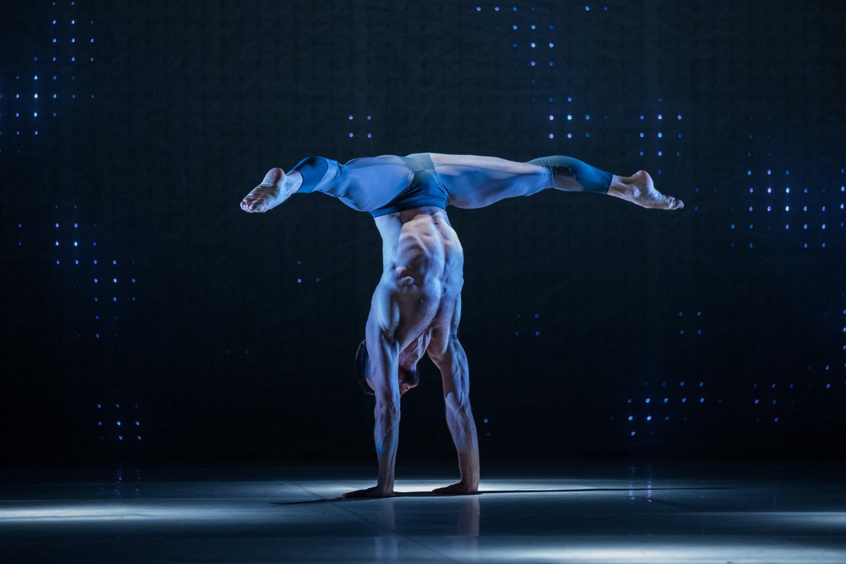 sydneydanceco's tweet photo. Get a glimpse behind the scenes today at our Matinee Performance & Company Class Viewing package.
https://t.co/vW3bgTU6Wz #SDC2OneAnother https://t.co/MhoXrGYCgw