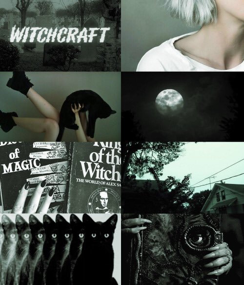 spellboundless's tweet image. 