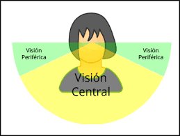 Nitido_CO's tweet photo. #CampoVisual...Área total en la cual los objetos se pueden ver en la visión lateral,Visita https://t.co/qZxV3jjY5L https://t.co/OUrvv4nxXL