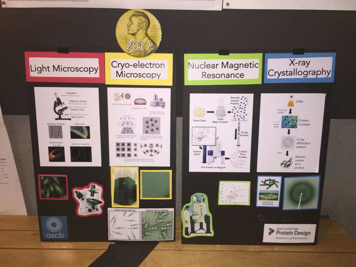 unattermann's tweet photo. Hey #Seattle , join @SciMarketUW tomorrow (Sat.) at the #UDistrict Farmers’ Market to talk about this year’s #NobelPrize in Chemistry! https://t.co/VTkg2Hw7x3