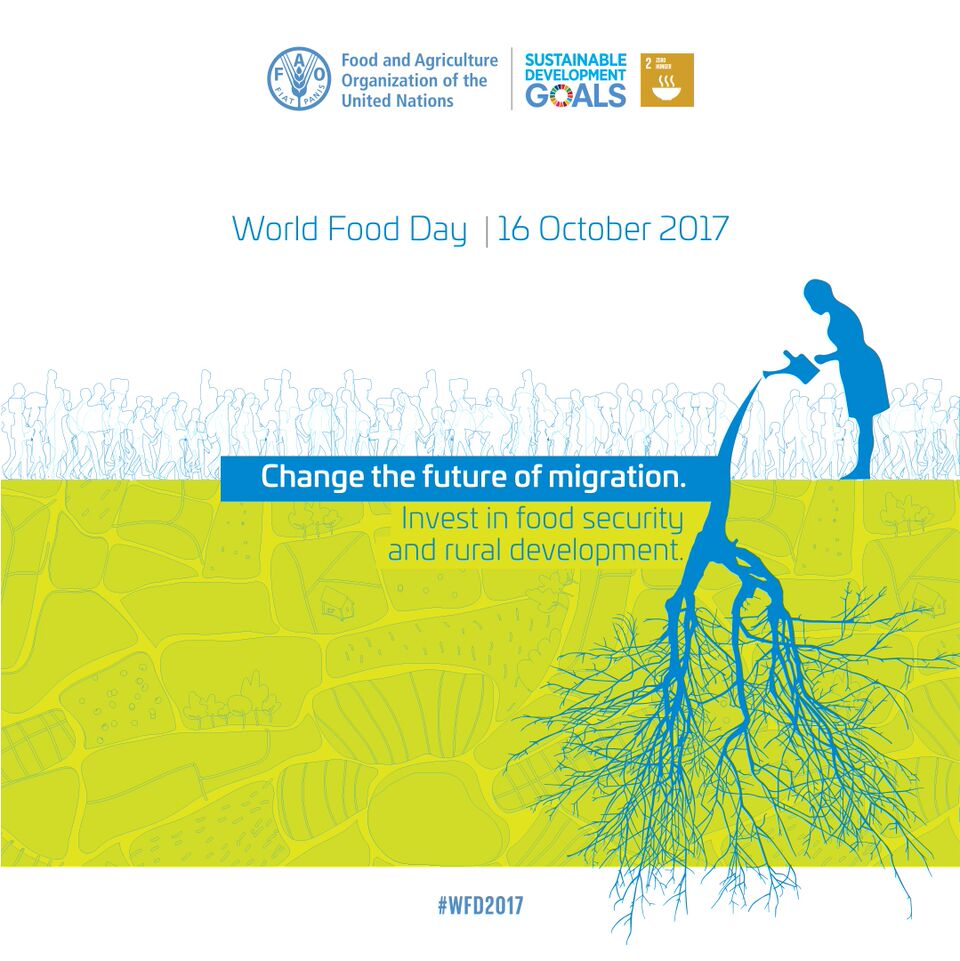 UN's tweet photo. The 🌏 produces enough food to feed everyone. Yet 800 million people are hungry. Monday is World Food Day: https://t.co/iyvyjJxIGE #WFD2017 https://t.co/VZ6BWamnF0