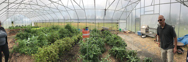 campuskitchenbw's tweet photo. Our team had the opportunity to visit the Berea community garden and get some fresh veggies! https://t.co/XXFhM5x2n2