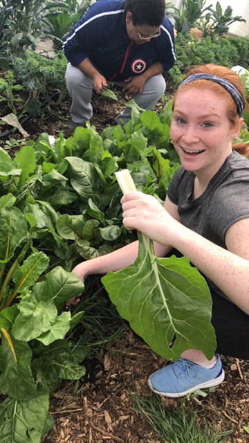 campuskitchenbw's tweet photo. Our team had the opportunity to visit the Berea community garden and get some fresh veggies! https://t.co/XXFhM5x2n2