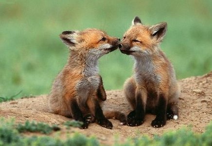 Need a date night? Tell us why you like us on Google at bit.ly/2vjFa5q for a chance to win a $250 Keg dinner gift certificate!