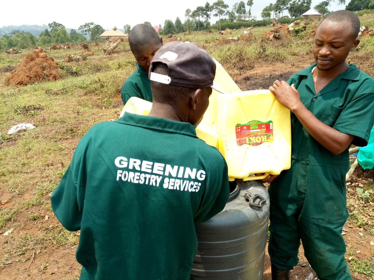 GreeningUganda's tweet photo. For all your Forest Establishment and Management services, kindly visit us at  https://t.co/LUEXpa1b28 or Whatsapp at 0793200002 https://t.co/PIJTSkFaYh