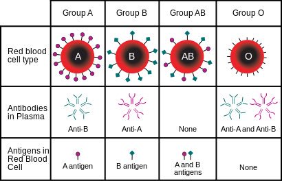 CreademicMedic's tweet photo. Highlight of my current case: Practical on distinguishing a persons blood type, rhesus status and how to crossmatch #bloods #medic #medicine https://t.co/U9a4JQvaYB