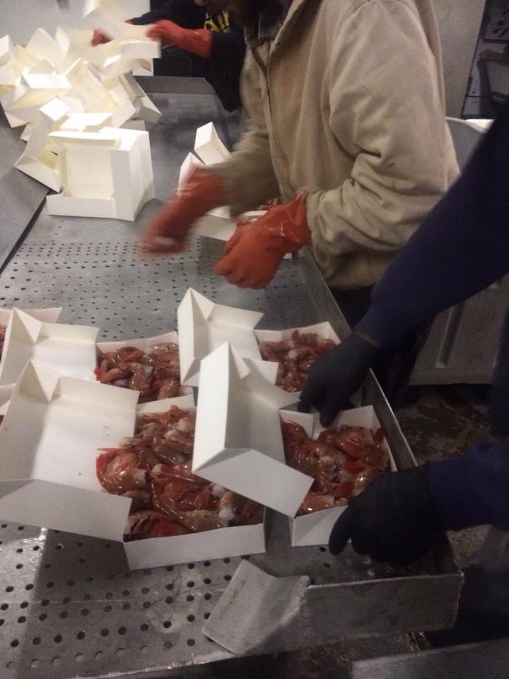 hooked_ak's tweet photo. Spot Prawns and King Salmon! We ship overnight! #spotprawns #oceantotable #whereroeatinjuneau https://t.co/4Tz0nT80y2