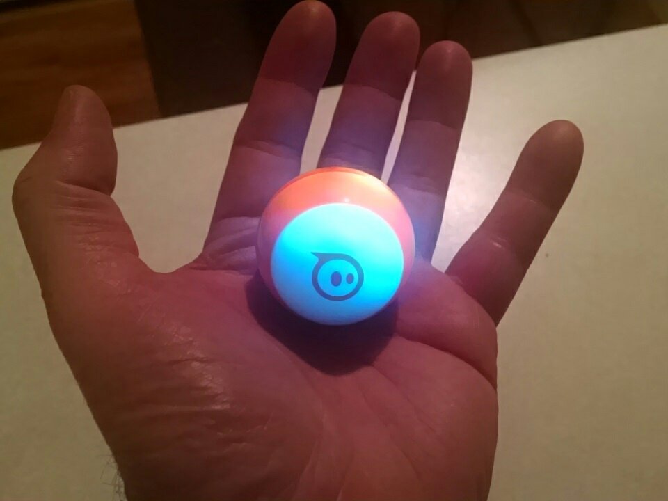 Joseph Hayes tweet media