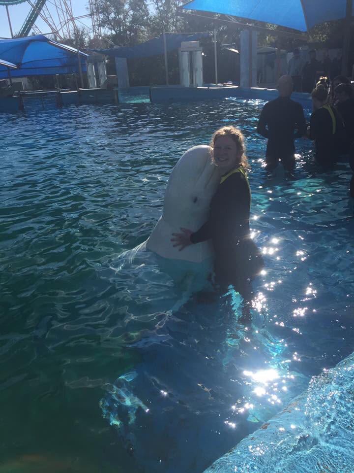 QueenShark8112's tweet photo. @TAMUGVertBiol  mammal beluga whale Delphinapterus leucas https://t.co/c8fuFEJ84N