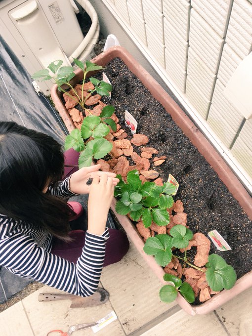 Twitterのコスプレ画像4