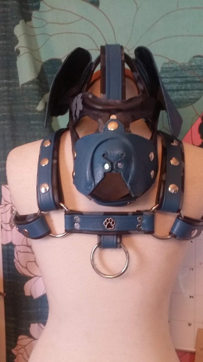 GetKnKy's tweet image. New Bulldog hood and harness combo for more breeds and designs check out 
howlingpupleathercrafts.com