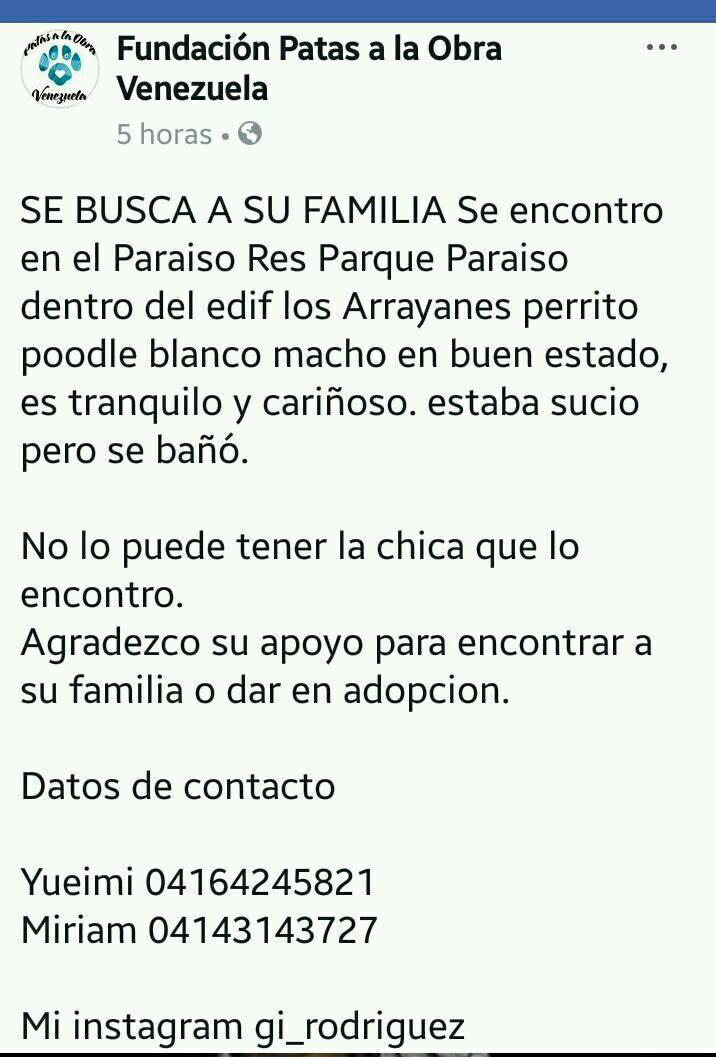 PerroUsuario Wof '•' tweet media