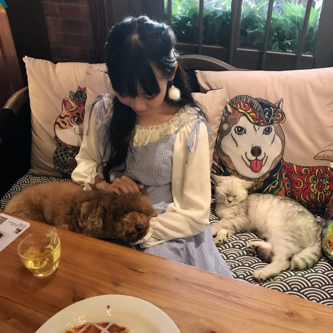 コスプレイヤー焖焖碳-のTwitter画像36