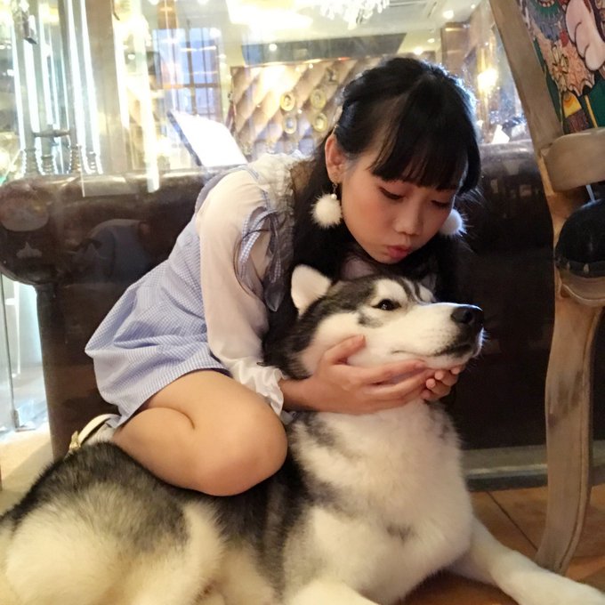 コスプレイヤー焖焖碳-のTwitter画像34