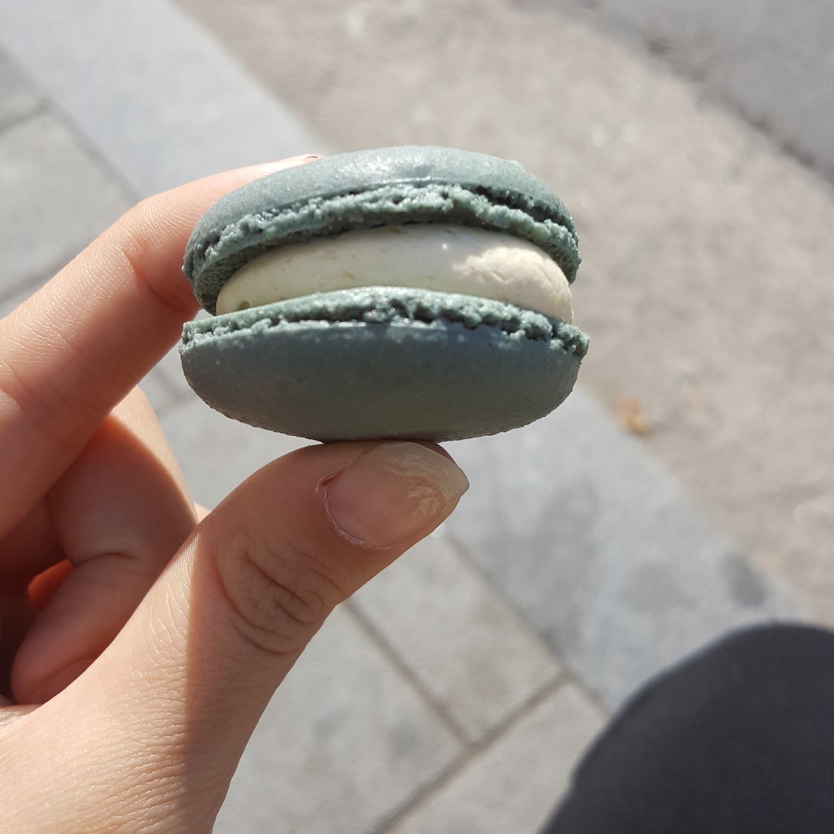 <성수 티핀>
노아이스로 처음먹었는데 냉장고에서 계속 냉침해두시는거라서 충분히 시원함 희희 블리스바이미니 마카롱도 대리판매해서 더좋아..그동안 멀어서 잘안갔는데 코앞에서 파시니 넘좋다 쑥인절미 몽블랑 최고최고^^7