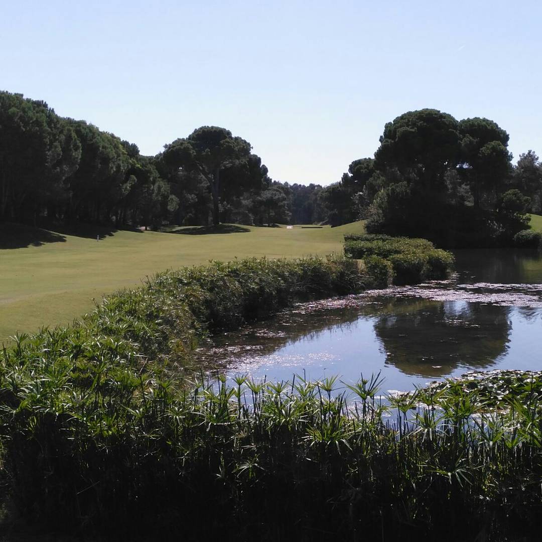 NGClubTR's tweet photo. The 14th hole and one of the most picturesque on the course.
#Nationalgolfclub #Belek #alternativetour #atonewithnature #picturesque https://t.co/0D0cGPkgdd
