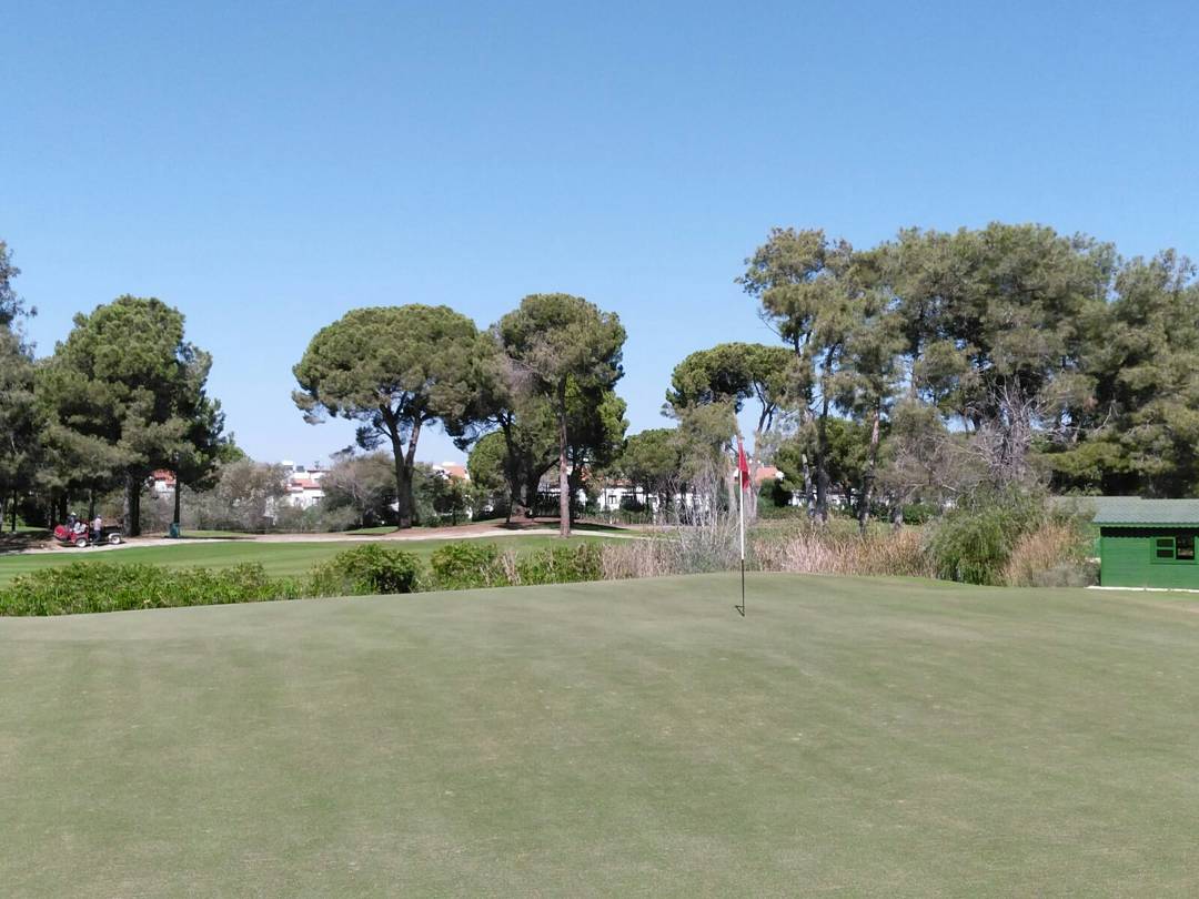 NGClubTR's tweet photo. The 14th hole and one of the most picturesque on the course.
#Nationalgolfclub #Belek #alternativetour #atonewithnature #picturesque https://t.co/0D0cGPkgdd