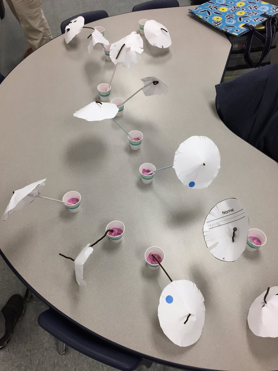 TeachMrsGibbs's tweet photo. First graders discover why trees don’t blow down in the wind. @rcsdblueoaks #rcsdchampion https://t.co/JW63XPBMtR