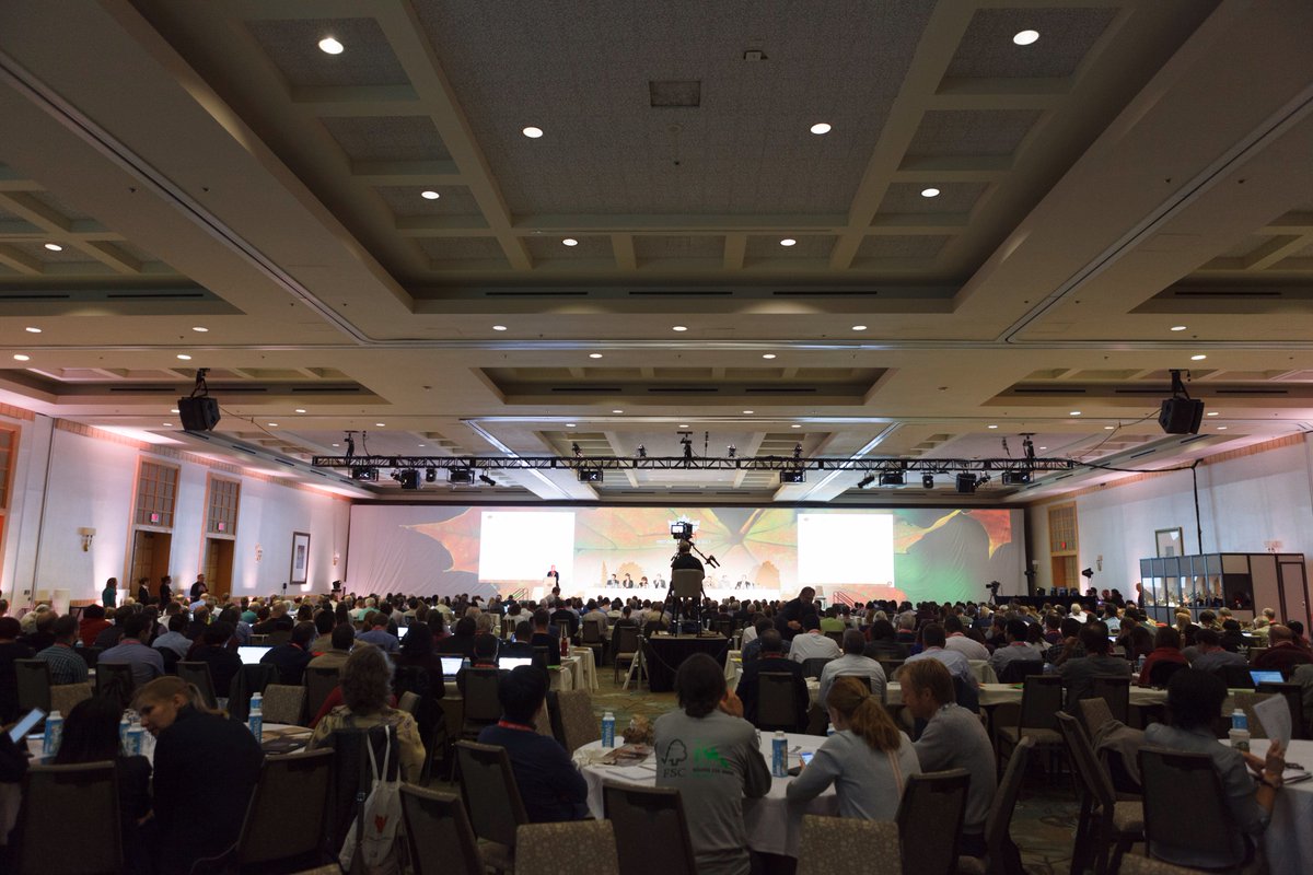FSC_GA's tweet photo. Thank you to our Gold Sponsors Kingfisher, Fibria, IKEA, CMPC, Tetra Pak International Paper &amp; Kimberly-Clark for supporting #FSCGA2017 https://t.co/BzswljHeie
