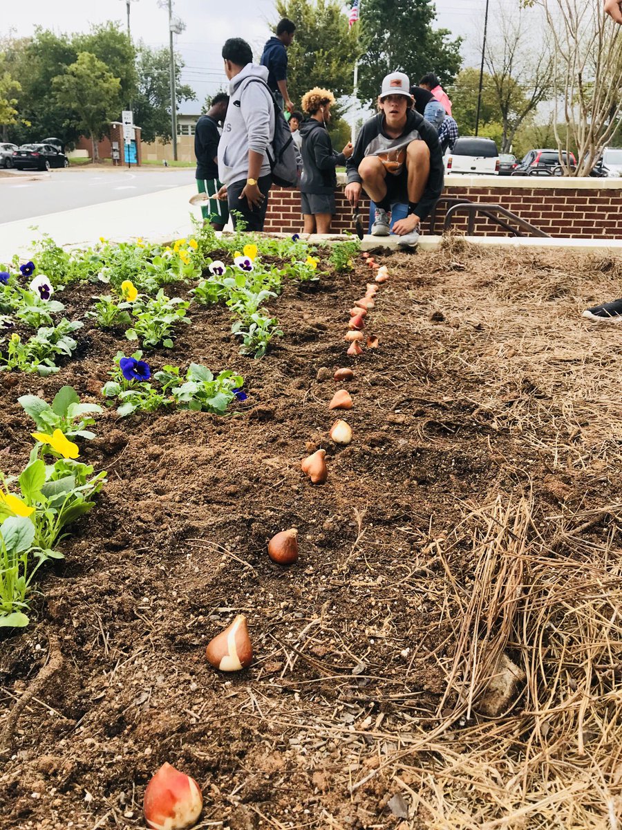 greenthumbcats's tweet photo. Soooooo much “playing in the dirt” today!  Beautifying campus n’such and learning lessons the real-world way! 🙌🌷☀️💵 https://t.co/XVzsJeVOzT