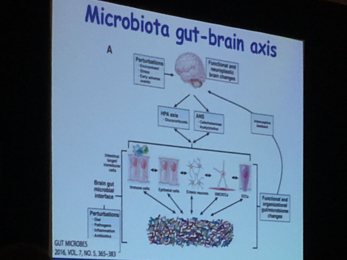 KemperPT's tweet image. Day 2 did not disappoint- GI, PGAD, Vestibulodynia - expert luncheons and presentations...good stuff! #WCAPP17 #kemperpt #functionizehealth