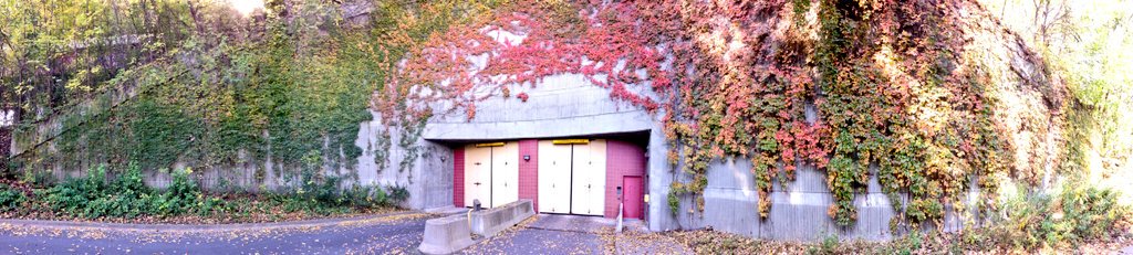 UMNBookworm's tweet photo. Photo series, "Where I Work" #264 @umnlib #whereiworkumnpano #AndersenLibrary https://t.co/GxxgwUR8yx