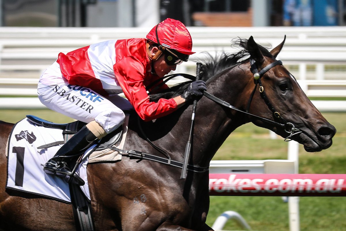 yarramanpark's tweet image. YP bred and sold daughter of IAmInvincible #InvincibleStar gaps them in the GR3 TB Club Stakes @Caulfield for @GaiWaterhouse1 #purespeed 🐎🐎🐎