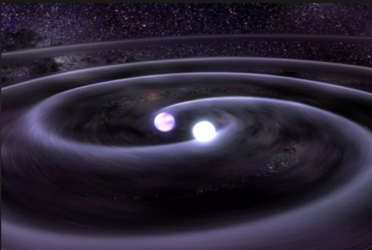 Brian Greene tweet media