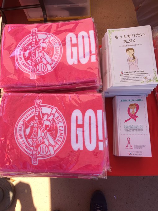 ビックカメラ女子ソフトボール高崎 Bic Beequeen 17年10月 Page 2 Twilog