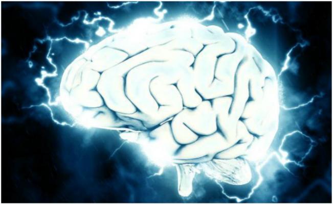 Int_Negocios's tweet photo. CONECTAN CEREBRO HUMANO A INTERNET EN TIEMPO REAL
Investigadores de la universidad de Witwatersand, enlazaron...
https://t.co/J97CIc8ygM https://t.co/CpOF0tTfpY