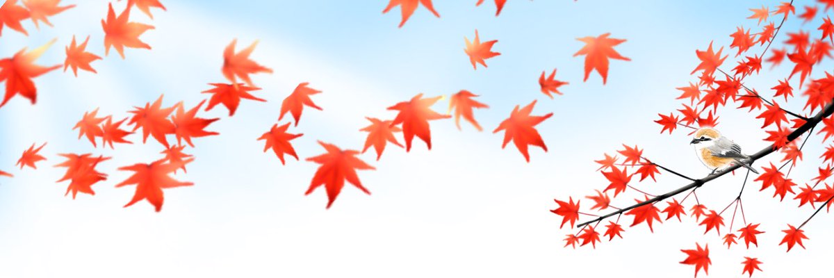 Twitterヘッダー 背景画像集 Twitterヘッダー 背景画像集